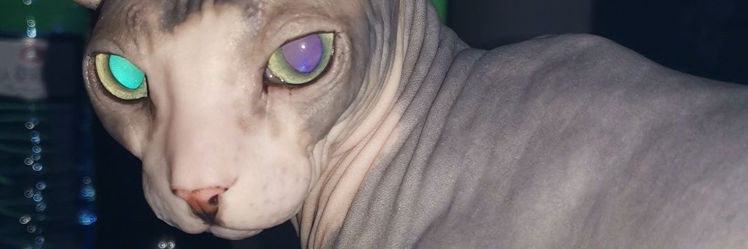 pumpumBitch's profile banner image