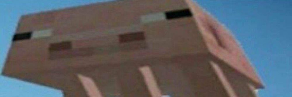 🍞 banner