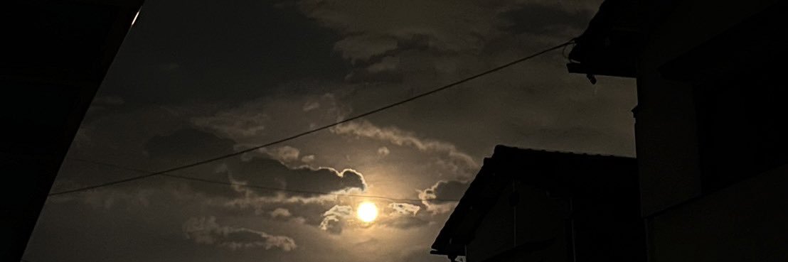 EGrin_kn's profile banner image
