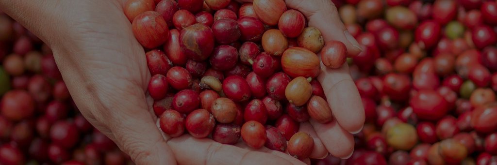 cafeselectomx's profile banner image