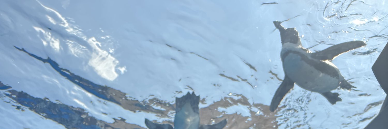 chibi_comaru's profile banner image