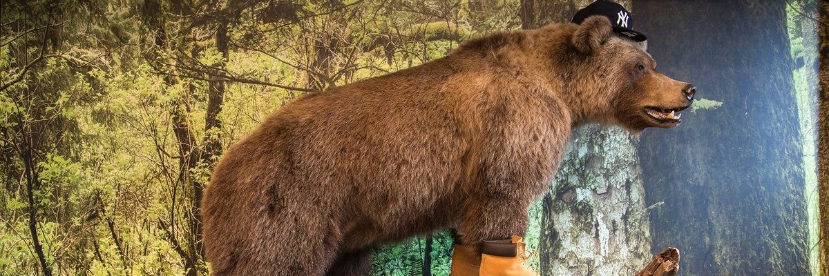 kaileybrenn's profile banner image