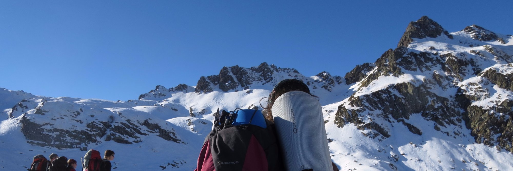 ElenaMoMuz's profile banner image