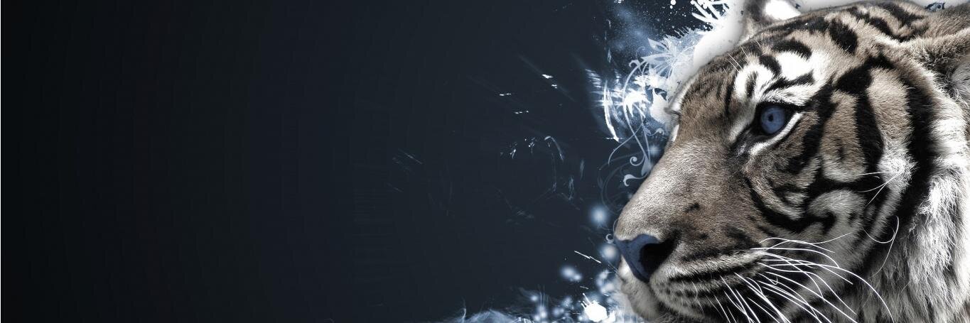 luckylaxa's profile banner image