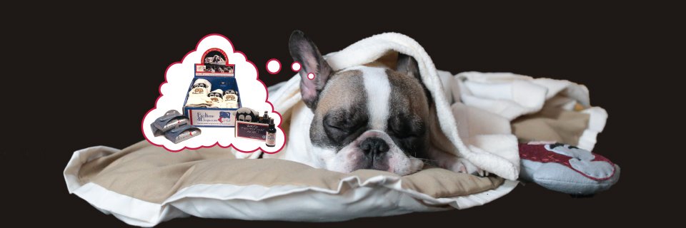 bedtime4dogs's profile banner image
