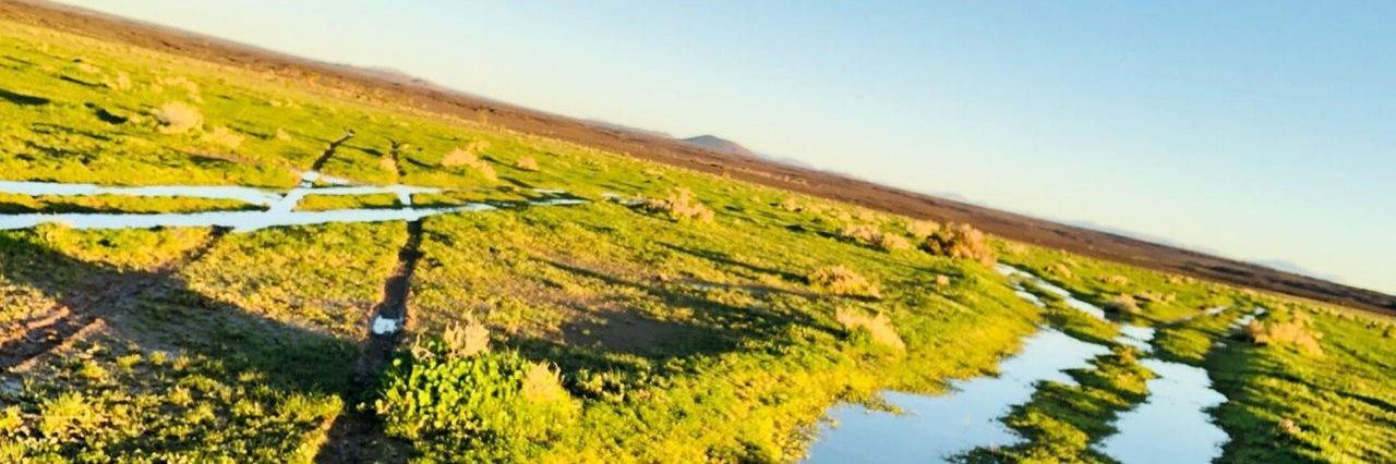 سليمان عطاالله العنزي banner