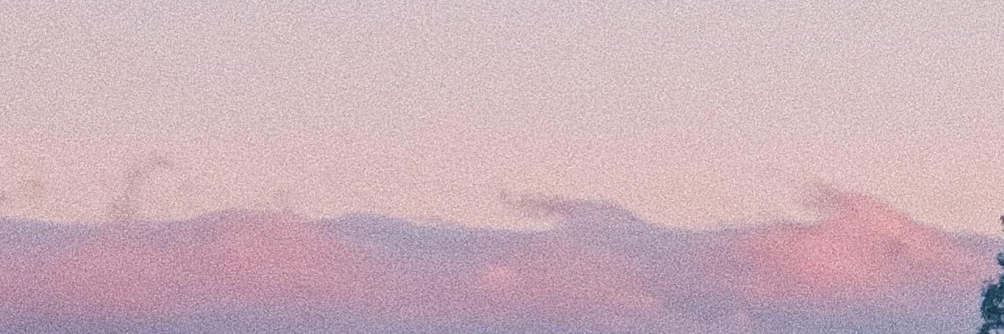 LillysCosmo's profile banner image