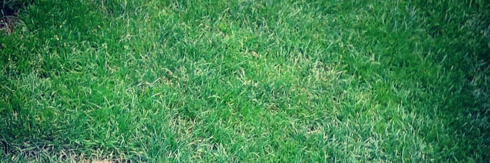 andreporsiempre's profile banner image