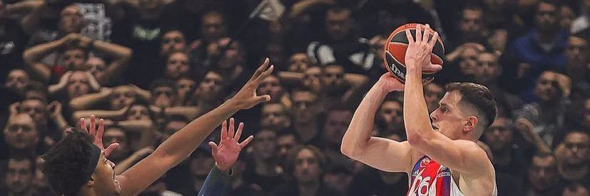 Nemanja Nedovic banner