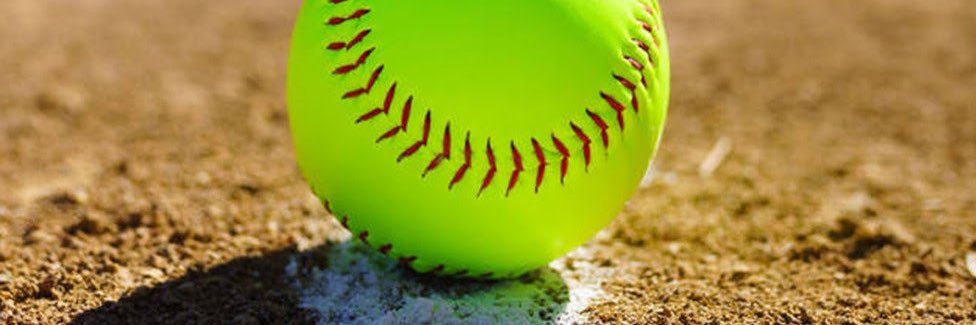 Springville Softball banner