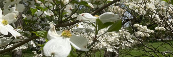 badavis_ Profile Banner