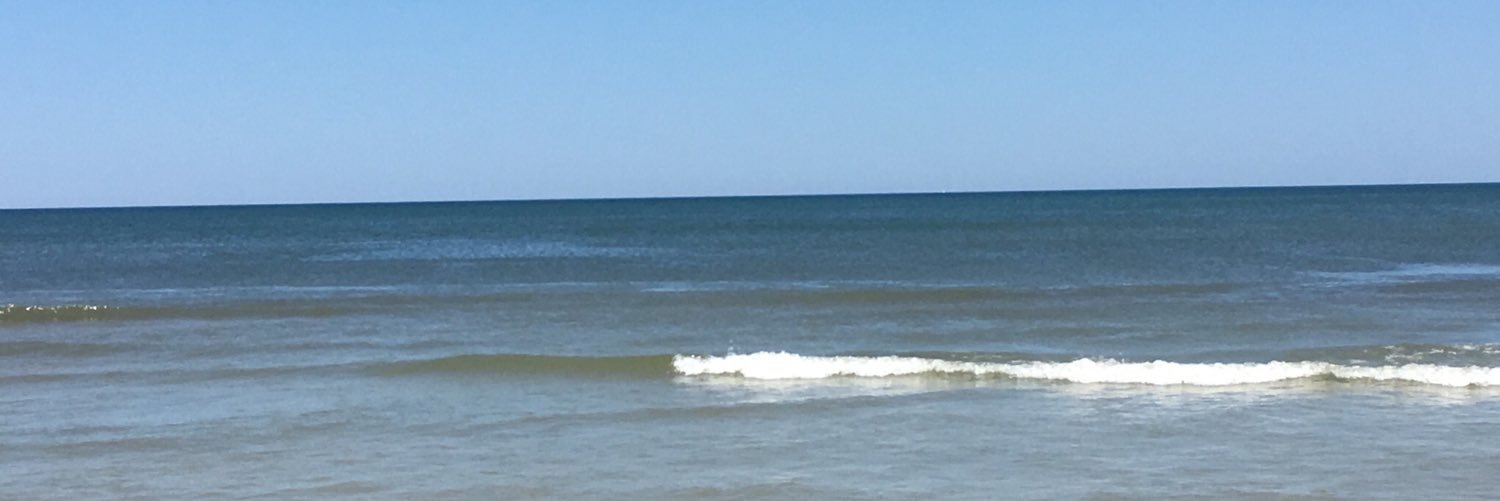 Two Fat Thumbs banner