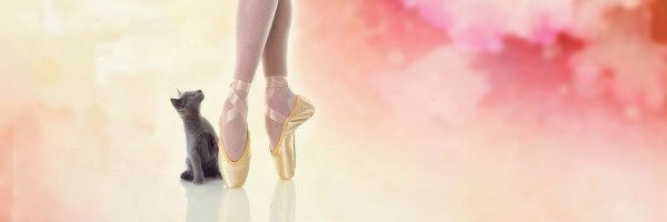 Lechatgriffe Profile Banner