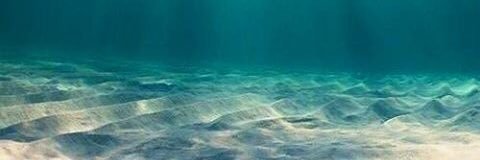 chan__5050's profile banner image