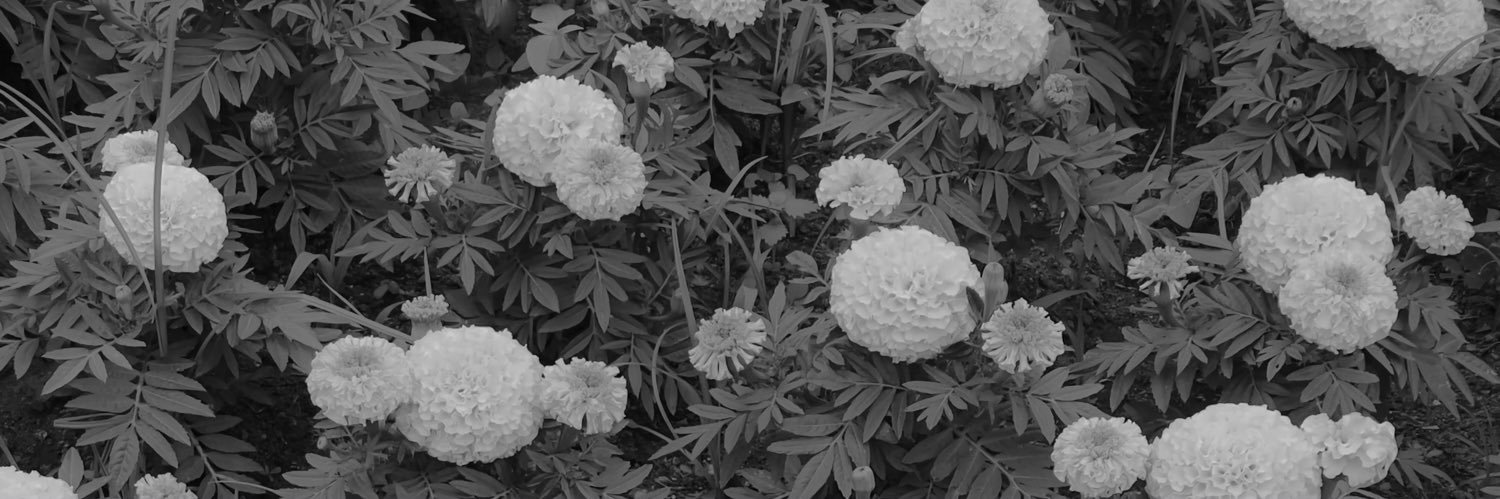 ritalinaaa's profile banner image
