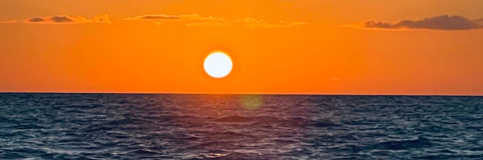 mamibella0804's profile banner image