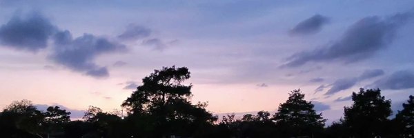 raithen6 Profile Banner