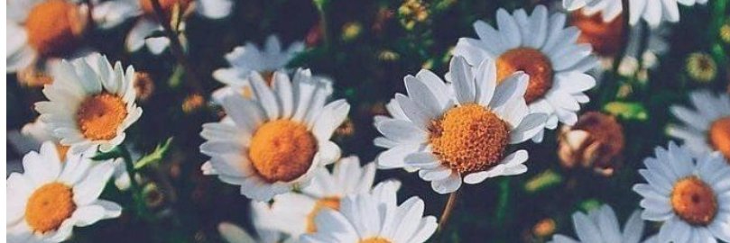 nattirossi's profile banner image