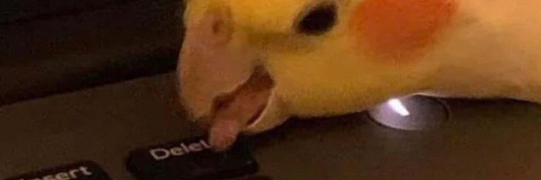 Daffyfrog's profile banner image