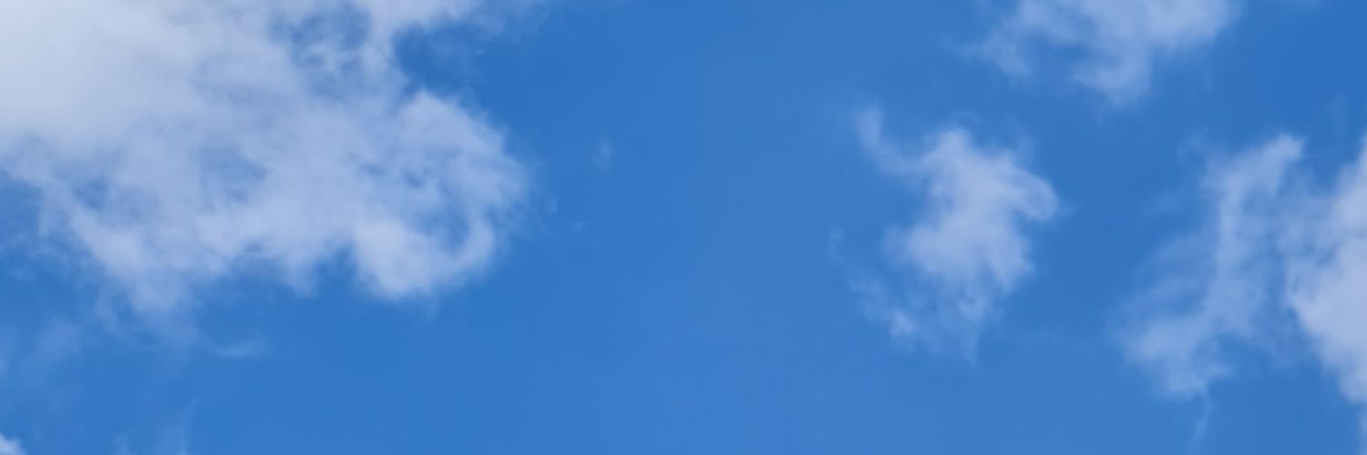 zuleli's profile banner image