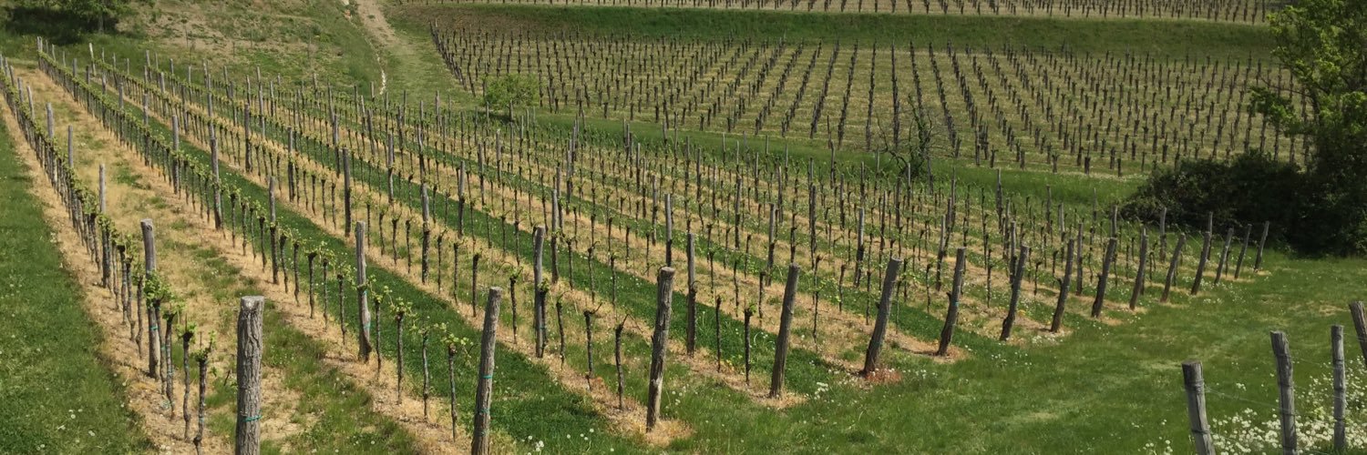 UnconWine's profile banner image
