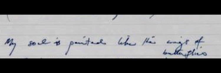 Andy Hogan-Hughes banner