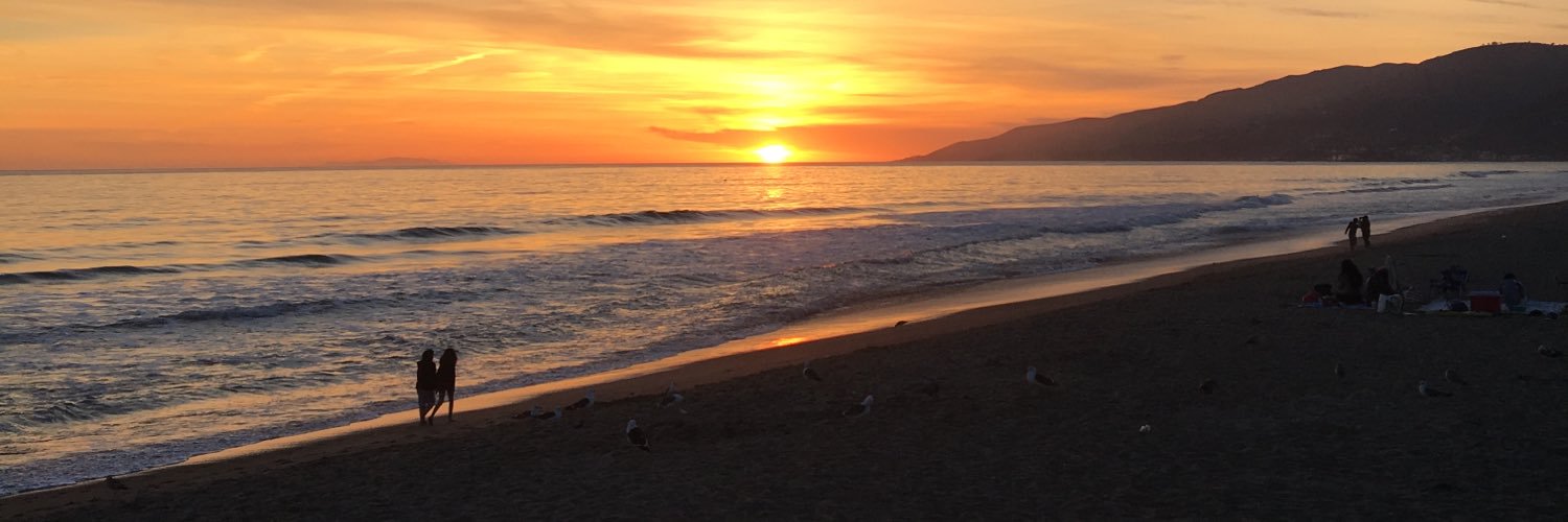 lostrhakerr's profile banner image