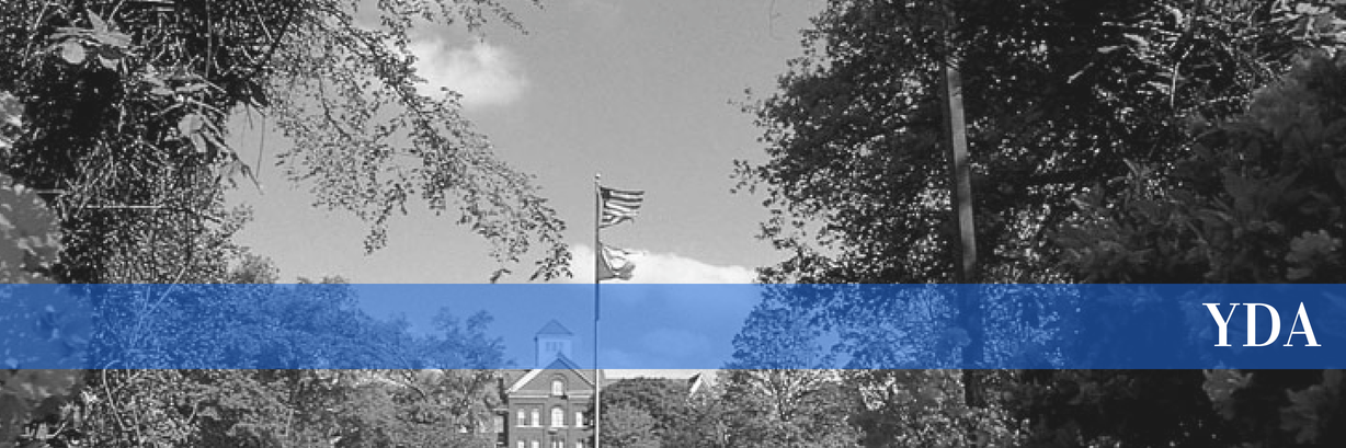 SpelmanDems's profile banner image