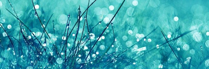jellybearv's profile banner image