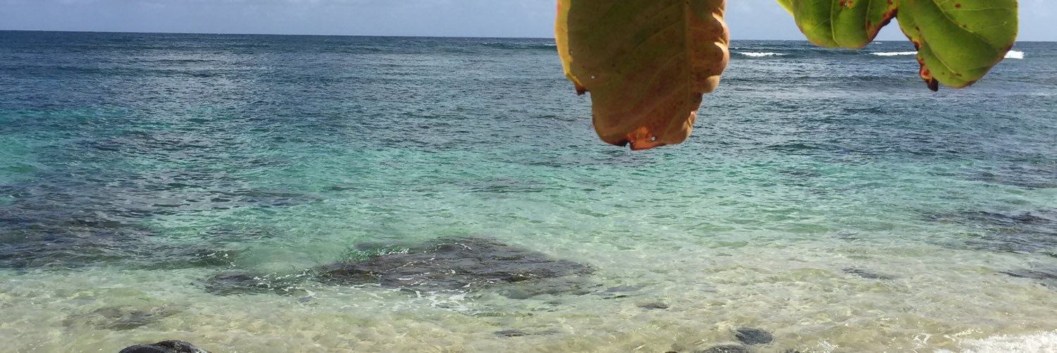 StephPadron's profile banner image