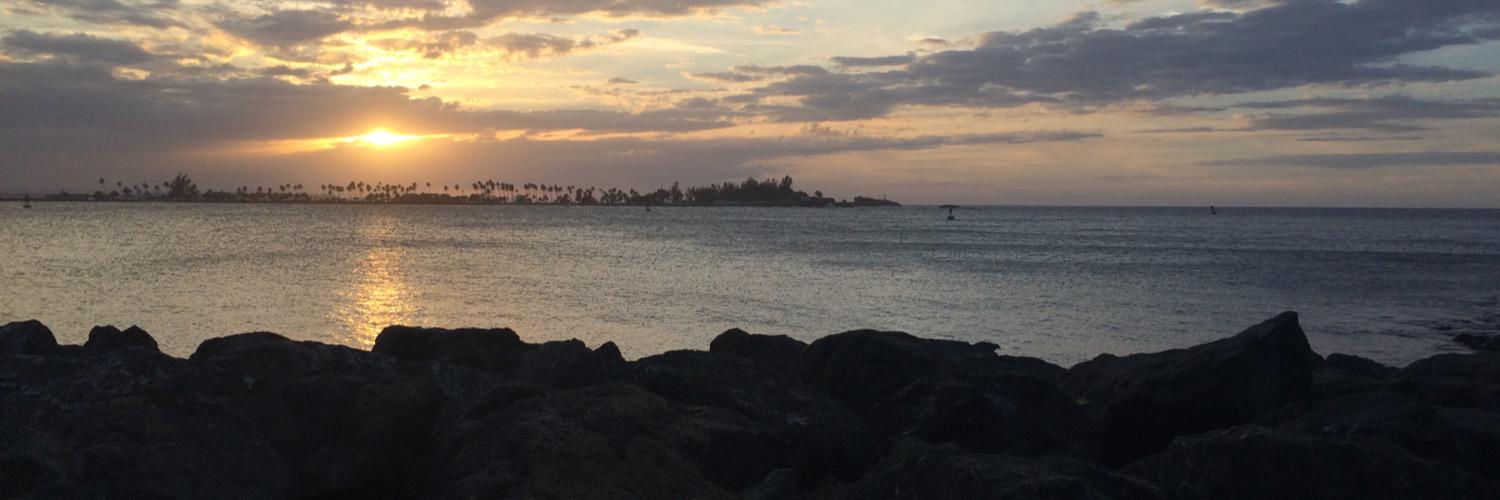 Brandi Tuttle banner