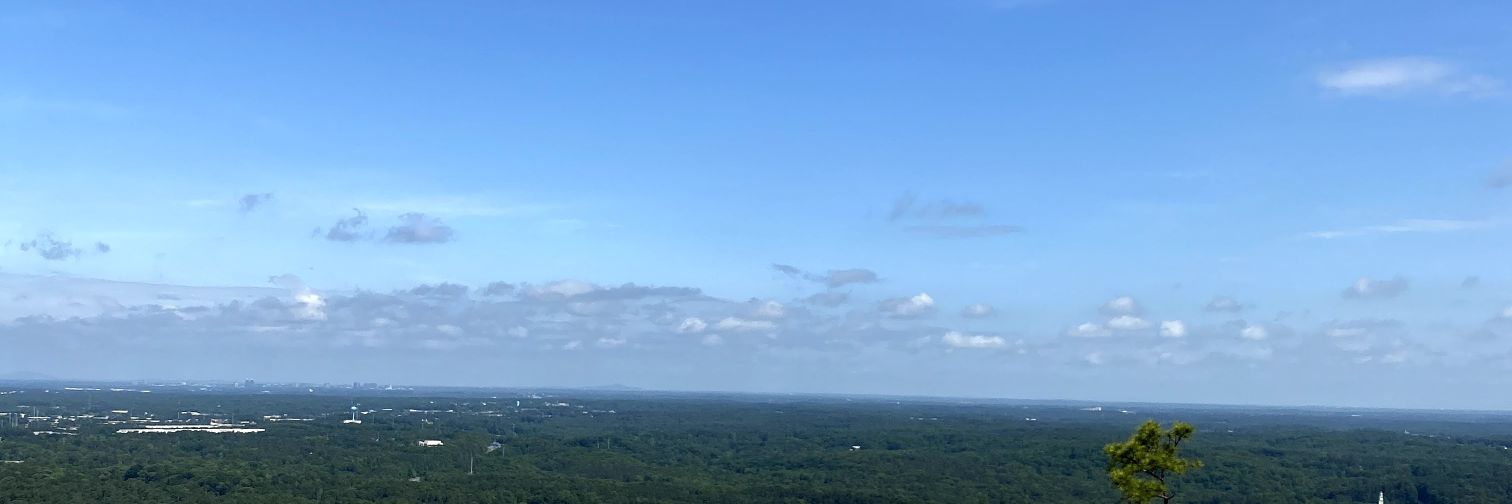 Dah Realest 1ne banner