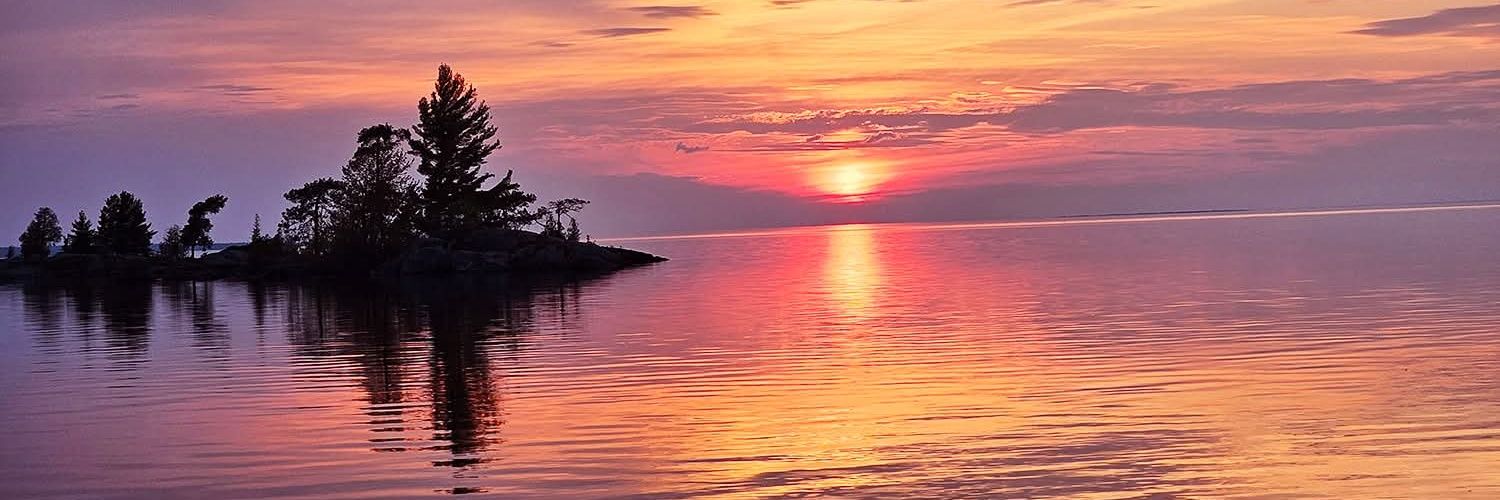 Mike F Duggan banner