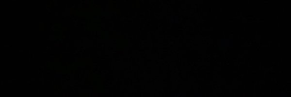 BBorkinstein Profile Banner