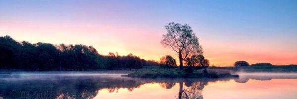 Wolf_Blass's profile banner image