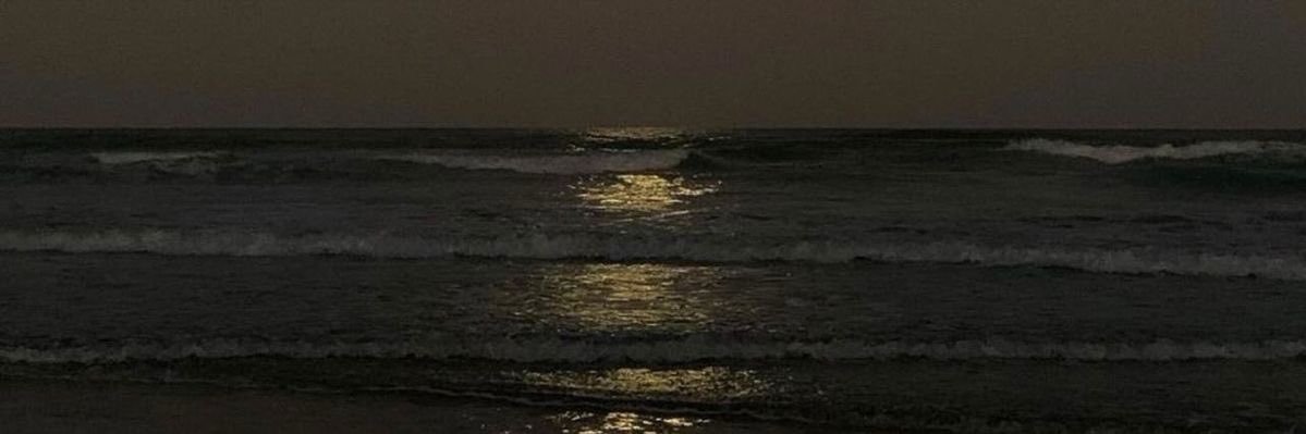 M banner