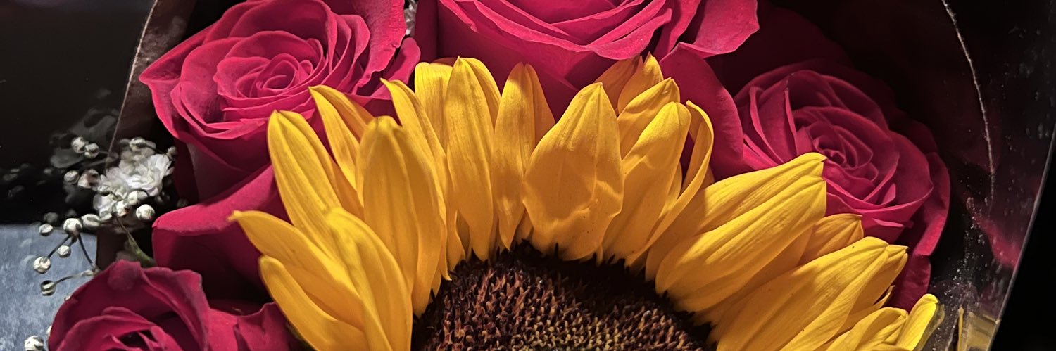 _dashni's profile banner image