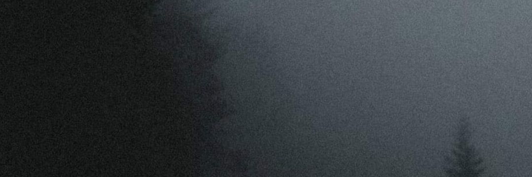 SamantaAnay's profile banner image