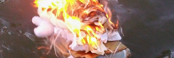 fleetstreetfox Profile Banner