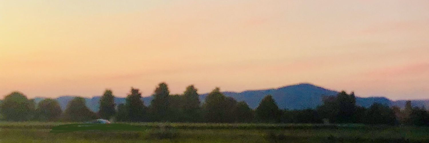 Victoria Long banner