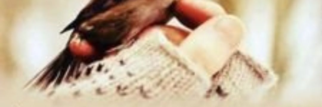 Hayri Başalan banner