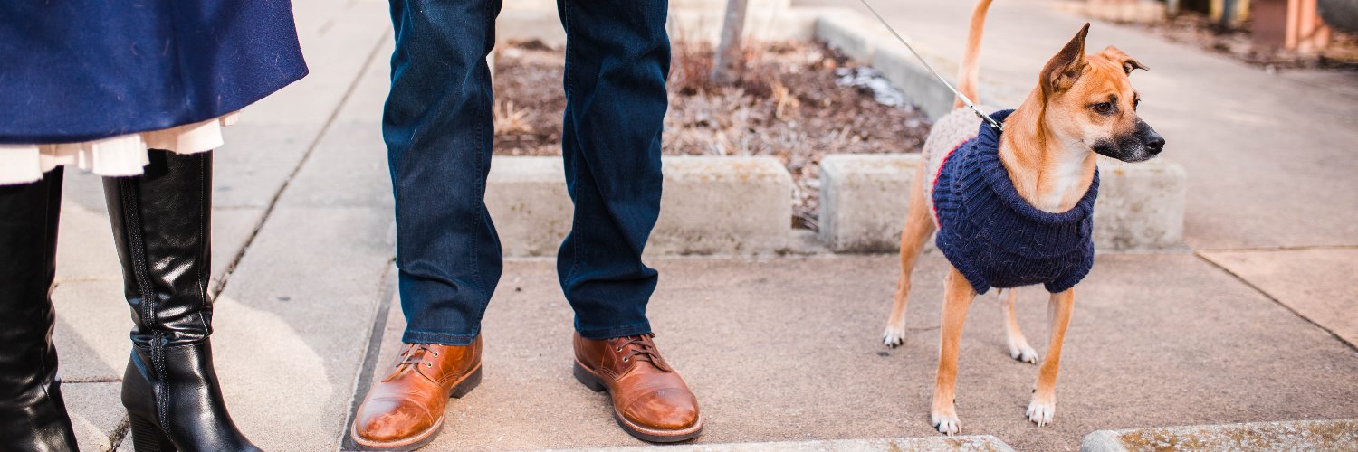 Erica Renfrew banner