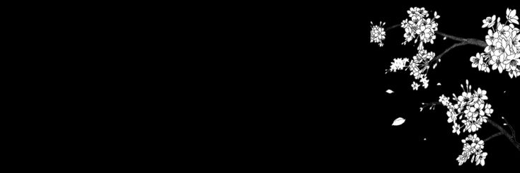 insuu__'s profile banner image