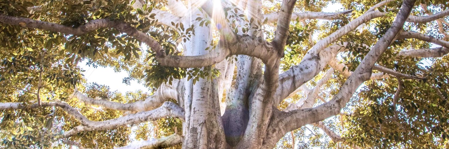 Instinctsatwork's profile banner image