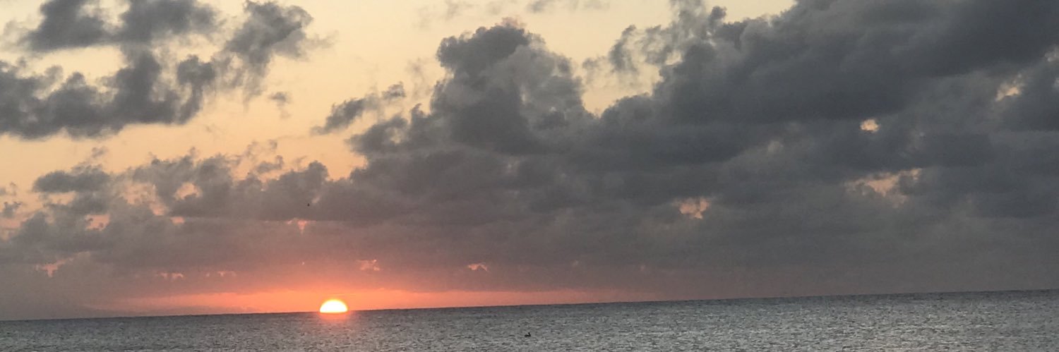 SandyRodas21's profile banner image