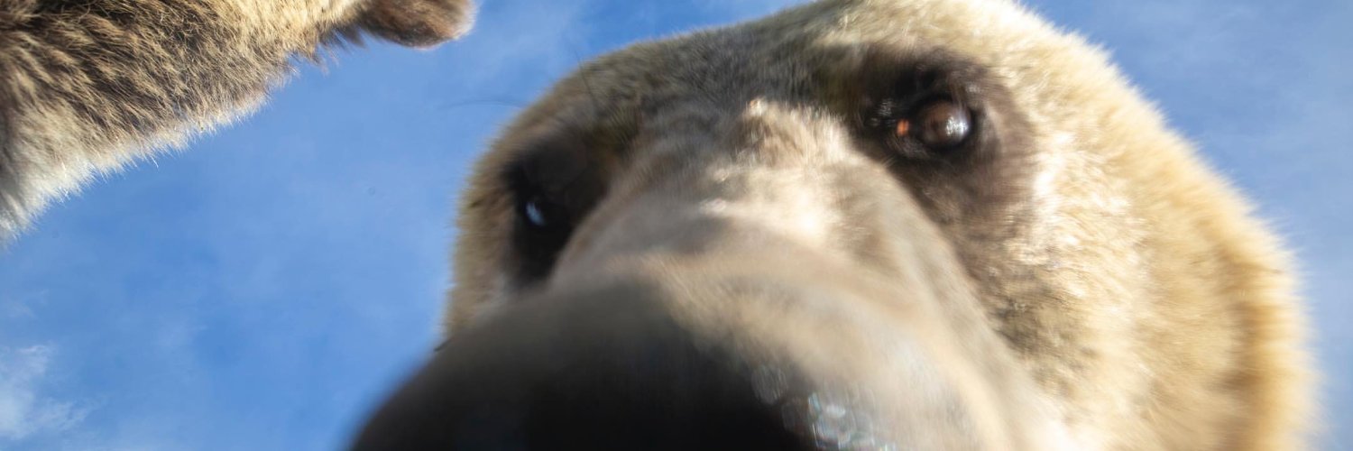 gg_silverio's profile banner image