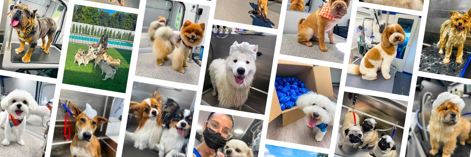 Barkbus banner