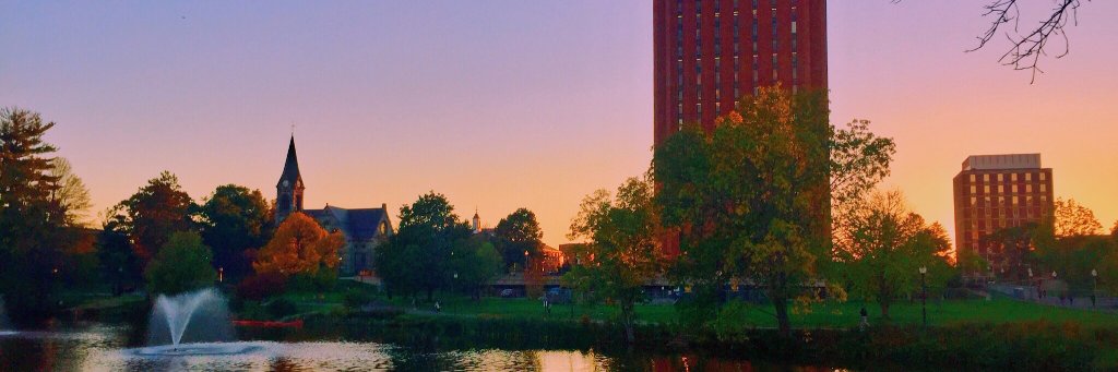 UMass Amherst Libraries banner