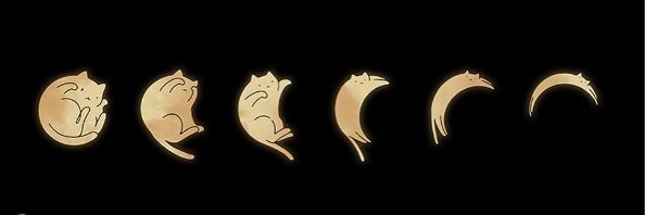 jorge_amd's profile banner image