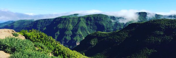 JuliRyzop Profile Banner